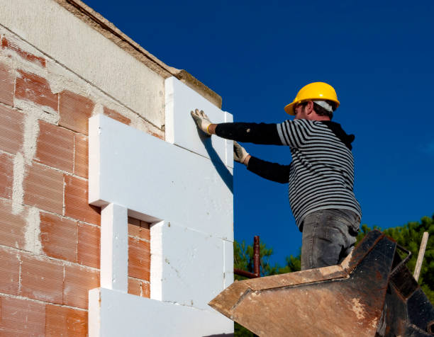 Best Geographic-Specific Insulation Services in Halstead, KS