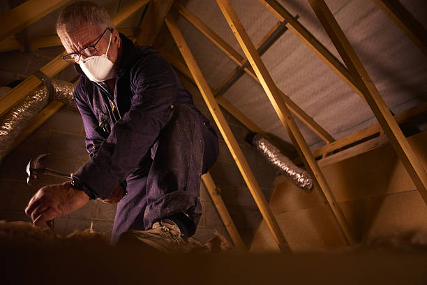 Best Residential Insulation in Halstead, KS